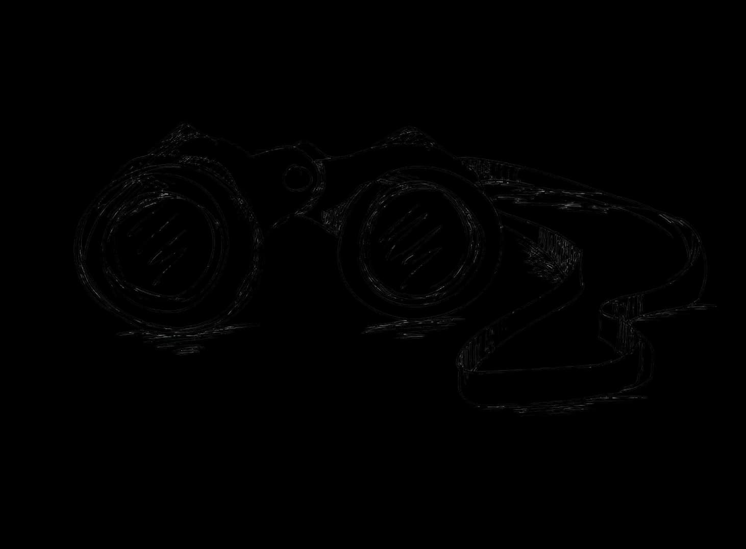Our Vision